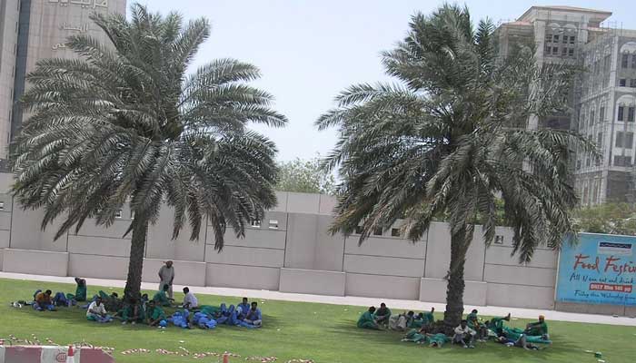 workers resting under palm trees in Dubai