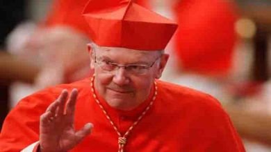 vatican cardinal charged with sexual offence