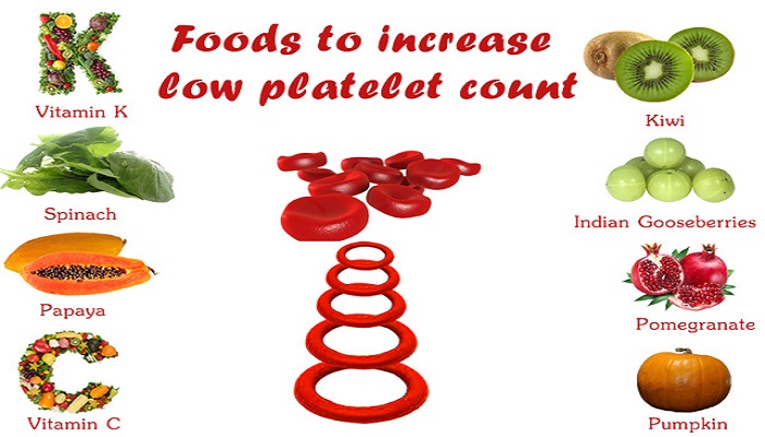 Diet Chart To Increase Platelet Count