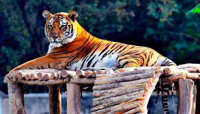Pilibhit Tiger Reserve