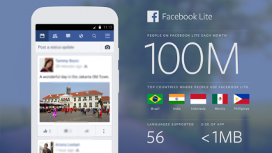 fb lite