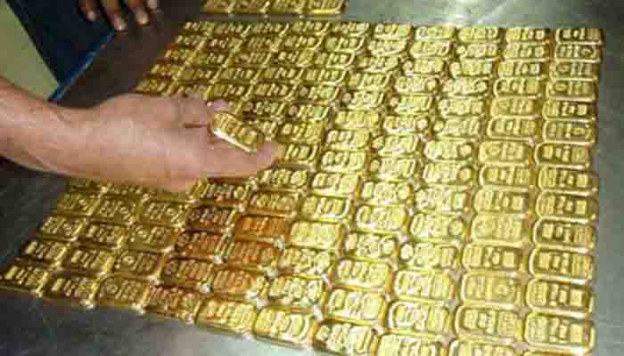 gold hunt at tvm