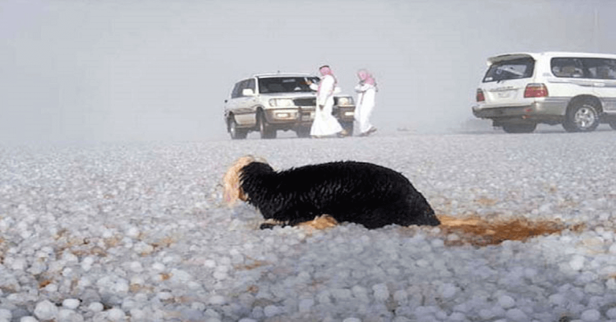 hailstorm-havok-saudi-arabia