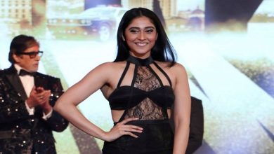 regina-cassandra-to-act-in-her-bollywood-debut-with-this-superstar