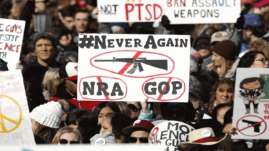 protests against gun laws