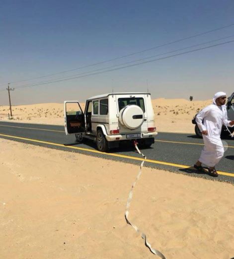 UAE-Prime-Minister-rescued-European-family-desert 