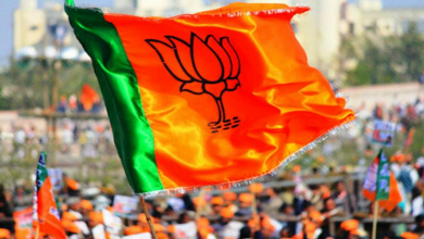 bjp-flag