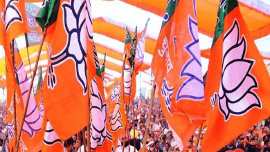 bjp-flag