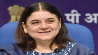 manekagandhi