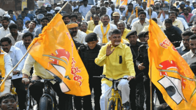 Chandrababu Naidu on rally