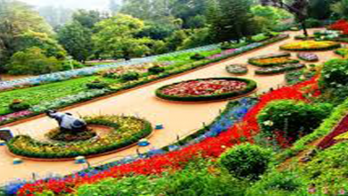 Botanical Garden