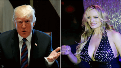 Donald Trump & Stormy