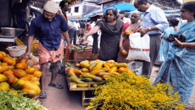 Vishu grocery shopping