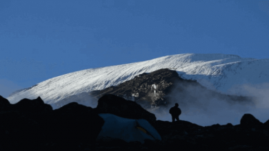 Boy climbs Mt. Kilimanjaro
