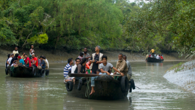 Sunderbans-National-Park