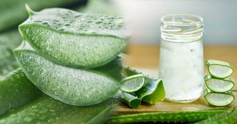 beauty-hacks-surprising-benefits-of-aloe-vera