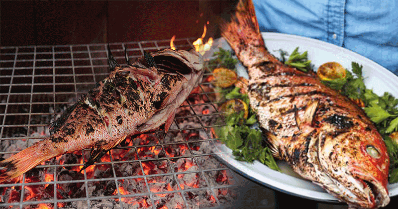 grilled fish