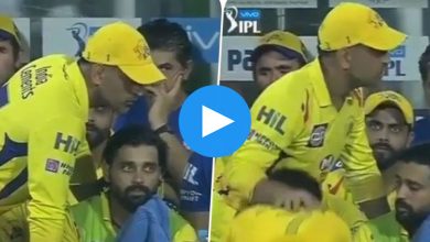 fan-touches-dhoni-during-ipl-match