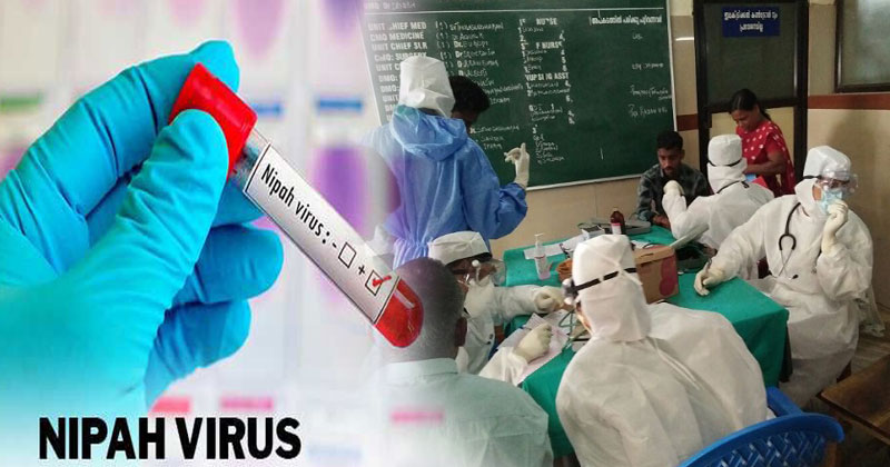 nipah-virus-more-death-in-kerala