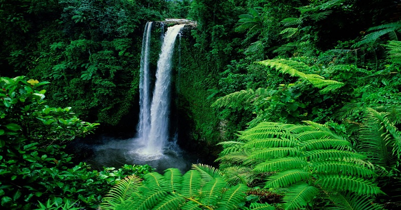 tincha water falls