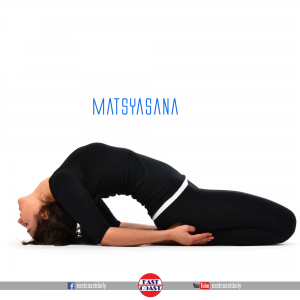 Matsyasana