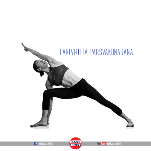 Parivritta Parsvakonasana (Power Yoga Pose)