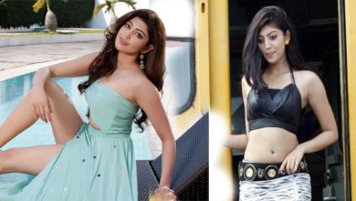 South-Indian-Actress-Pranitha-amazed-everyone