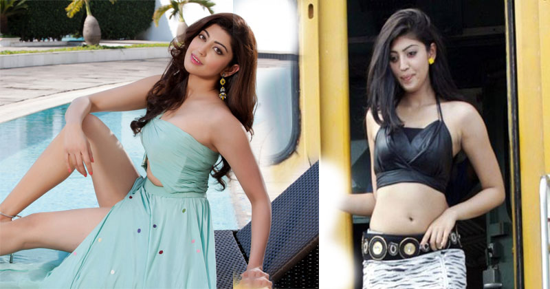 South-Indian-Actress-Pranitha-amazed-everyone