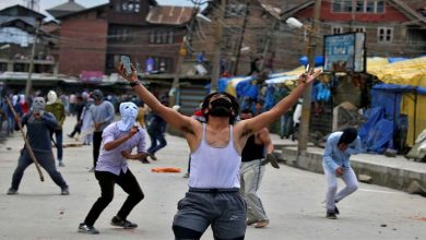 Stone-pelter-