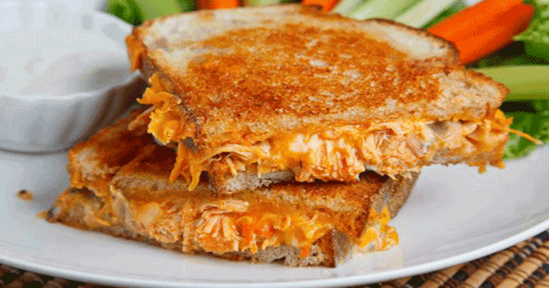 Shredded Chicken Cheese Sandwich