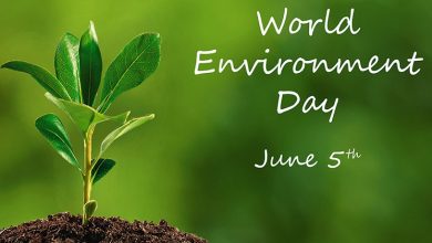 World-Environment-day