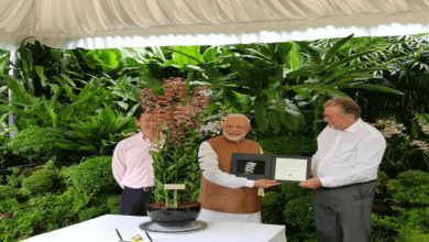 modi-flower-singapore-