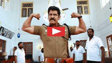 saamy 2