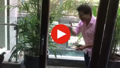 sachin-feeds-bird-in-balcony