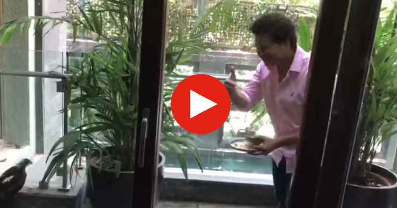 sachin-feeds-bird-in-balcony