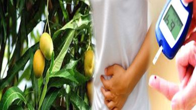 Amazing-Health-Benefits-Of--Mango-Leaves