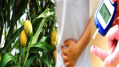 Amazing-Health-Benefits-Of--Mango-Leaves