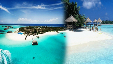 Cruises-To-Maldives