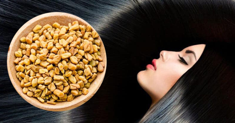 Benefits Of Methi Seeds/ Fenugreek Seeds For Your Hair