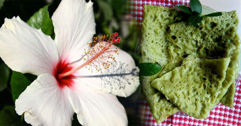 Hibiscus (Chembarathi) Neer Dosa