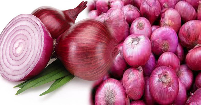 Onion