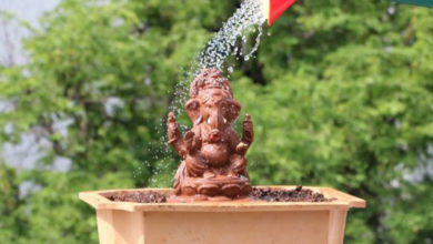 Biodegradable Ganapathi