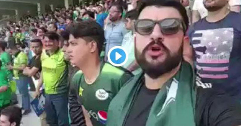 Pakistani cricket fan