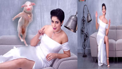 Shamna-Kasim-and-pig