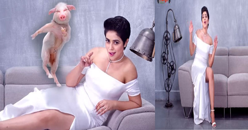 Shamna-Kasim-and-pig