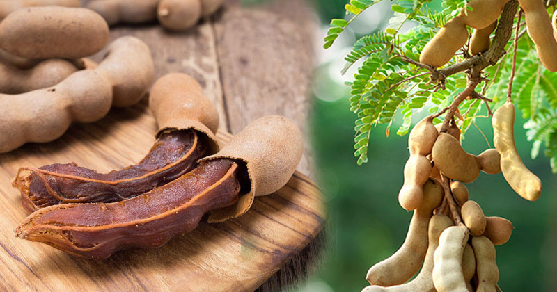 Side-Effects-Of-Tamarind