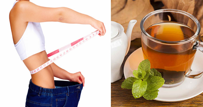 How A Tulsi Tea Helps You In Weight Loss