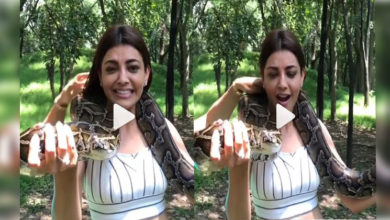 Kajal-catches-Snake