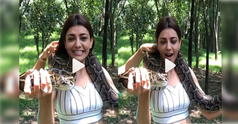 Kajal-catches-Snake