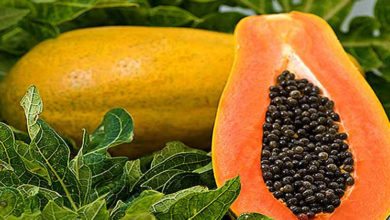 Health-Benefits-Of-Papaya